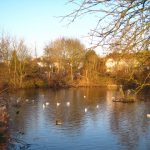 Epsom Common Great Pond