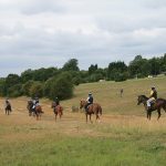 Horses training on Walton Downs