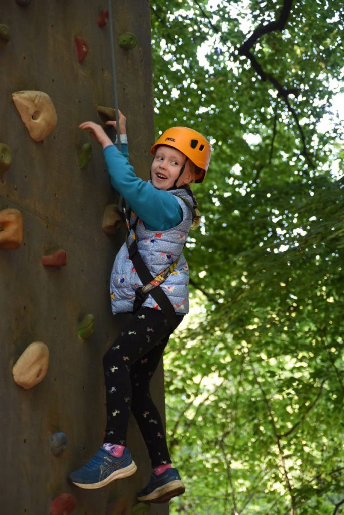 Beaver climbing tree at Bentley Copse Surrey September 2022