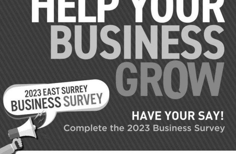 East Surrey Business Survey