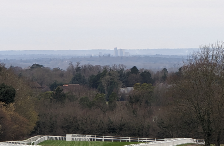 Woking from Epsom Downs