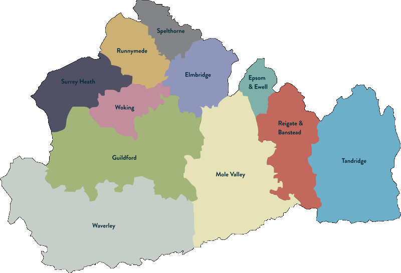 Borough map of surrey