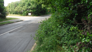 Dangerous verge overgrowth