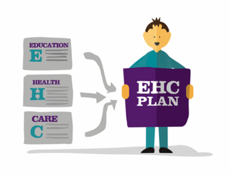 Graphic of education, care and health plan