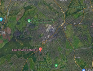 Epsom area