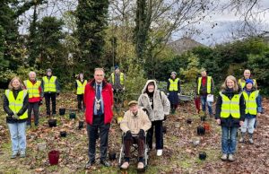 Henry Ford tree man of epsom