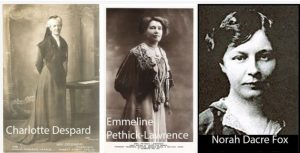 All three Surrey women fought for seats in the 1918 General Election but were unsuccessful.