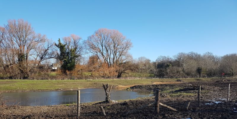 View of Hogsmill wetland in Ewell