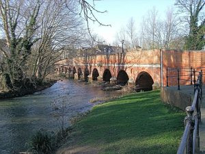 River Mole in Leatherhead