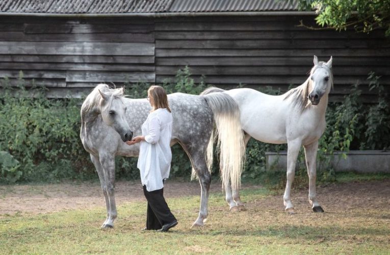 Equine-Facilitated Psychotherapy: Healing Through Connection