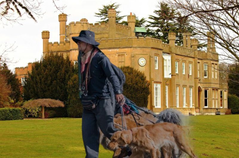 Should Nonsuch Park go to the dogs?