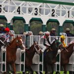 Horses out of the starting gates