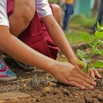 Trees and children planting