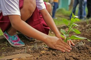 Trees and children planting