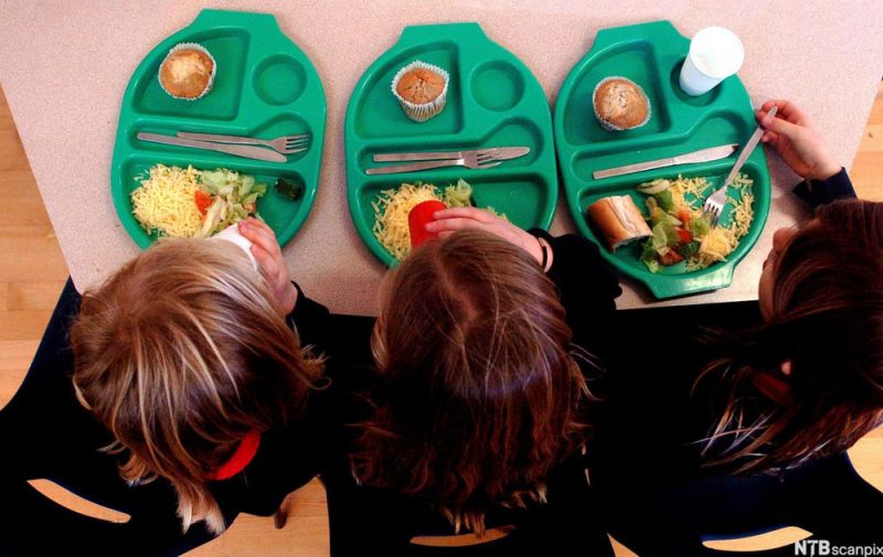Three children with school dinners