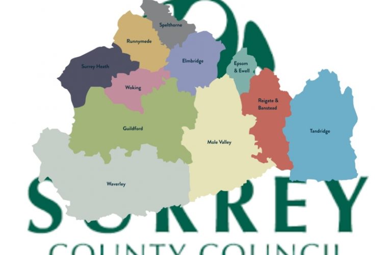 Surrey County Council staff strike poll