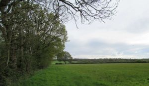 View from Little Misley, one of the fields set to have solar panels. (Credit: Guildford Borough Council planning documents)
