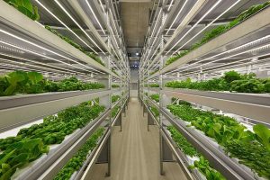 Vertical farm
