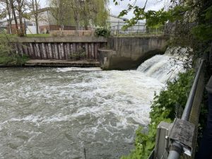 Esher Mill Road overflow sewage site (image Chris Caulfield)
