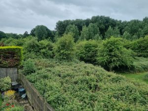 Grafton Stables from a neighbouring dwelling 2025