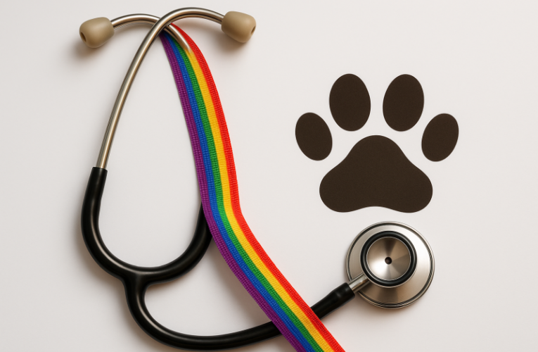 Surrey Uni finds gay vets face discrimination