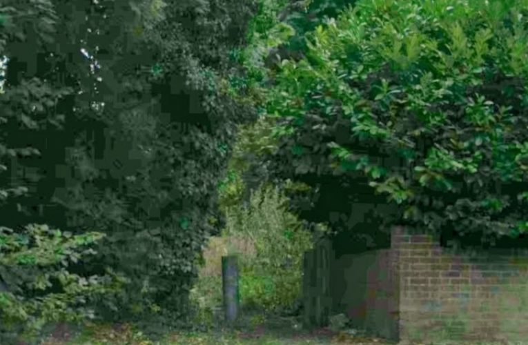 Brooke was killed after she was crushed by a branch in Banstead last year Credit: Google Maps