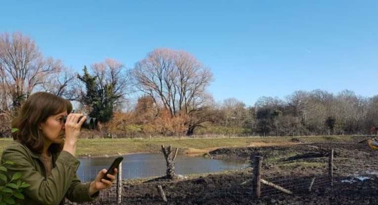 Cuddington birdwatch could go Epsom and Ewell Borough-wide?