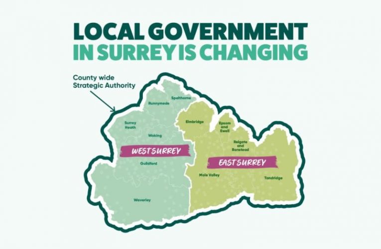 East and West Surrey unitary areas
