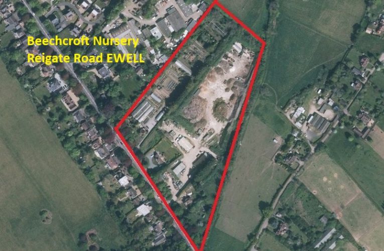 Beechcroft Nursery Ewell