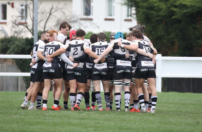 Horsham hound Epsom’s huddle