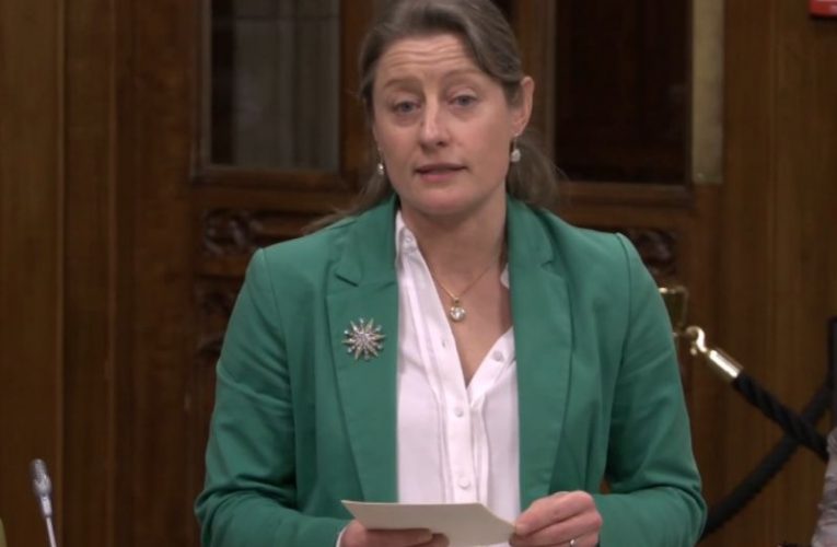 Epsom & Ewell MP presses government on firearm licensing safeguards