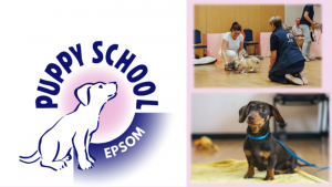 Puppy school logo and a puppy
