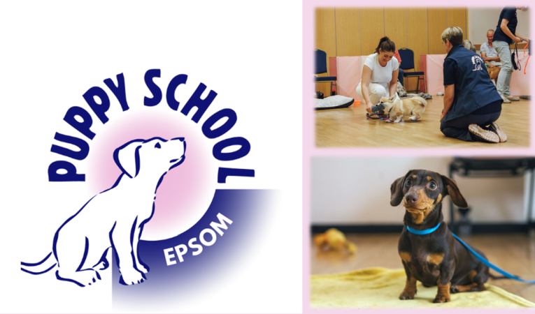 Puppy School has arrived in Epsom!