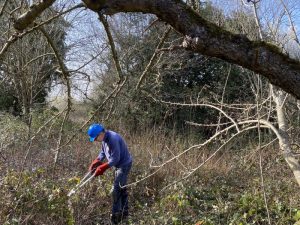 A volunteer clears undergrowth in Horton Country Park