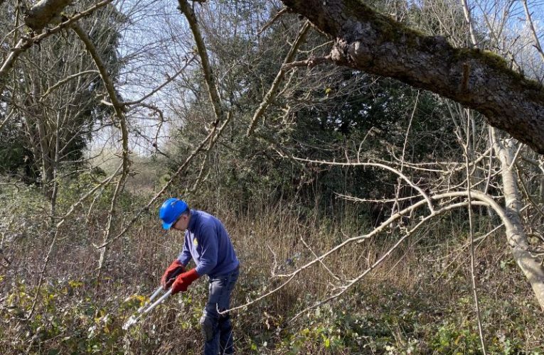 Epsom and Ewell countryside volunteers face uncertain times