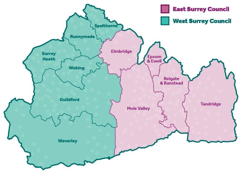 Elections Maps Surrey East And West