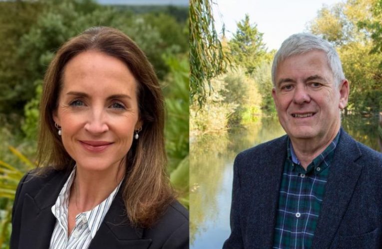 Cllrs Jane Austin and David Lewis will lead the Conservative groups at West and East Surrey Councils (image UGC