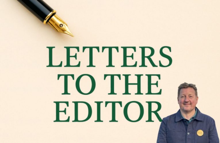 Hopes and thanks of a new Councillor in Epsom