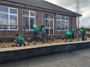 Children planting at a school