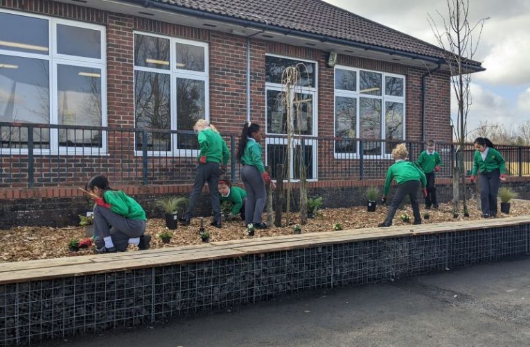Children planting at a school