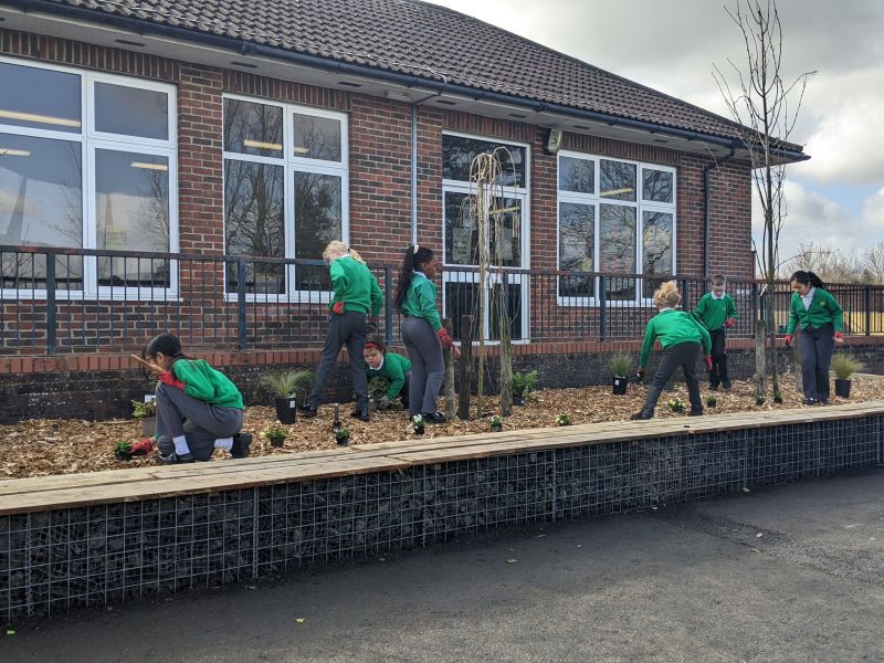Children planting at a school