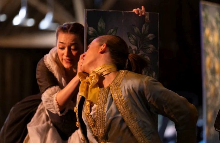 Marriage of Figaro scene courtesy Wild Arts