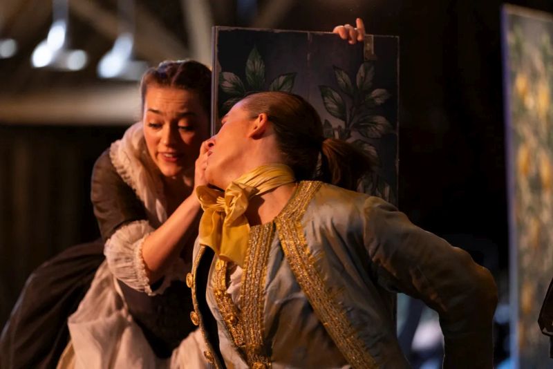 Marriage of Figaro scene courtesy Wild Arts