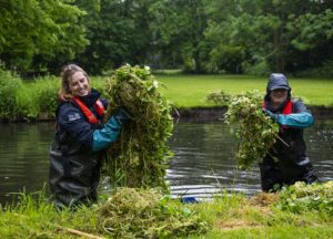 Weed clearing courtesy South-East Rivers Trust
