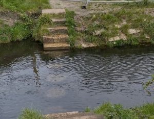 Stepping Stones - Hogsmill River. Credit Brigitte Jeffs