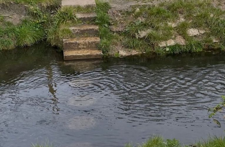 Stepping Stones - Hogsmill River. Credit Brigitte Jeffs