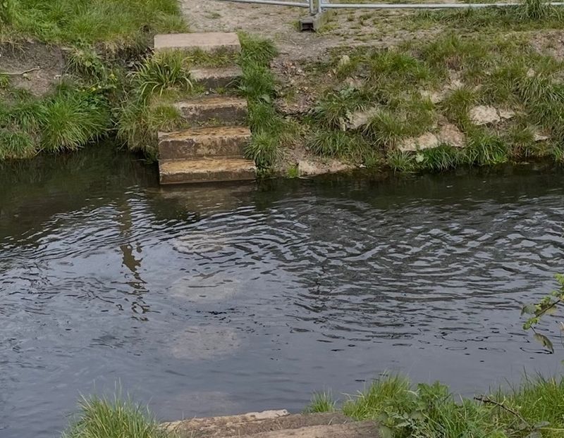 Stepping Stones - Hogsmill River. Credit Brigitte Jeffs