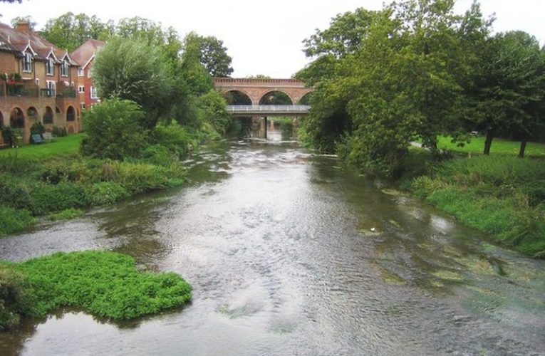 Dirty water double: sewage spills and blocked drains put Epsom and Ewell under pressure