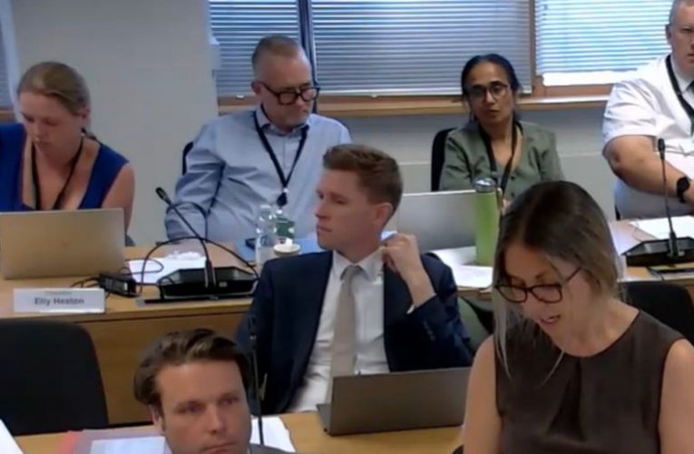 Councillors debate the motion (Credit: East Surrey Shadow Authority)