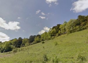 Box Hill (Credit: Google Maps)